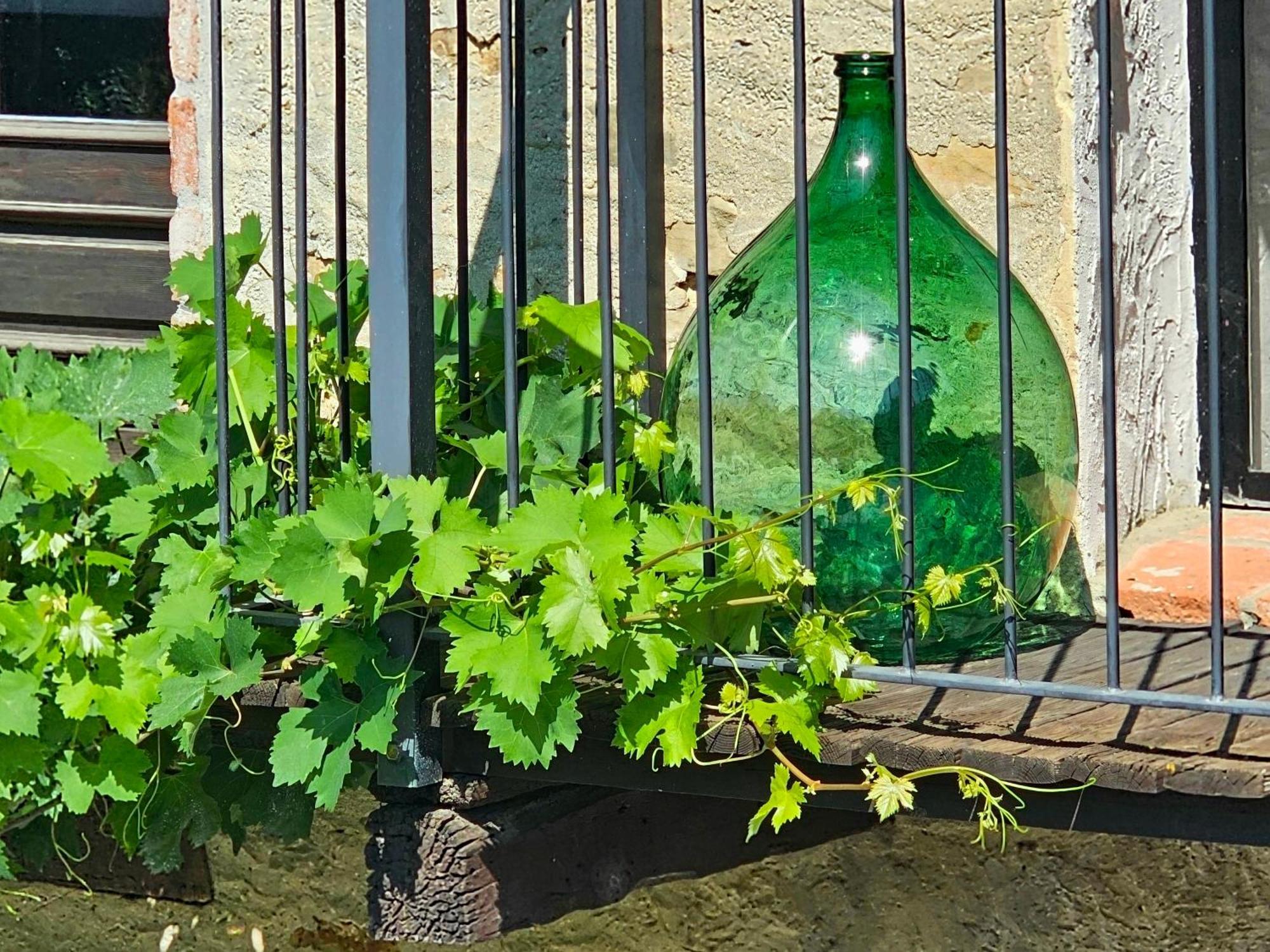 Cascina Il Sogno Acomodação com café da manhã Cossano Belbo Exterior foto